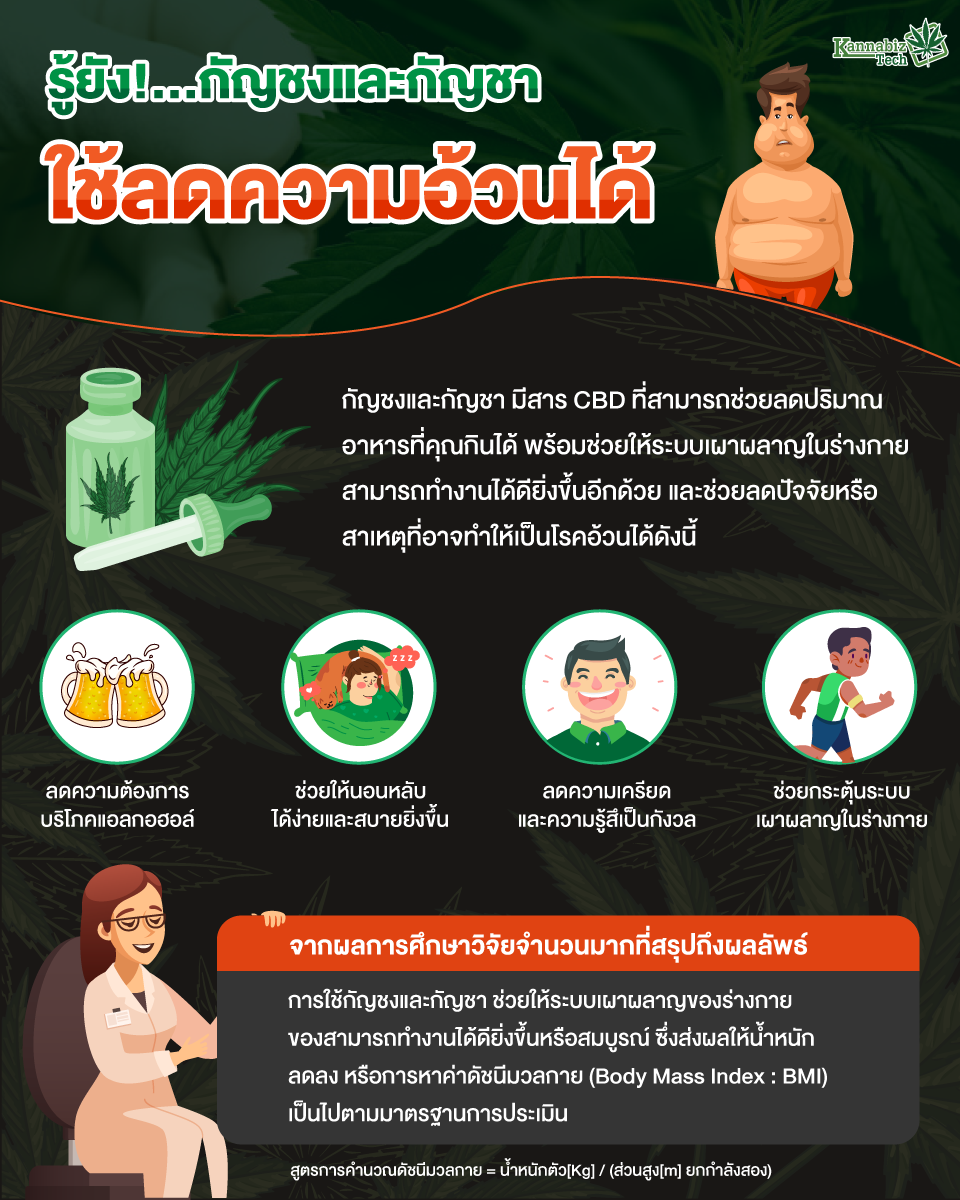 อยากลดน้ำหนัก กัญชง-กัญชา ก็ช่วยได้