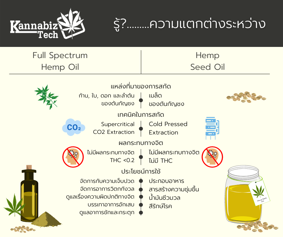 Key Things to Know Before Using Hemp Oil