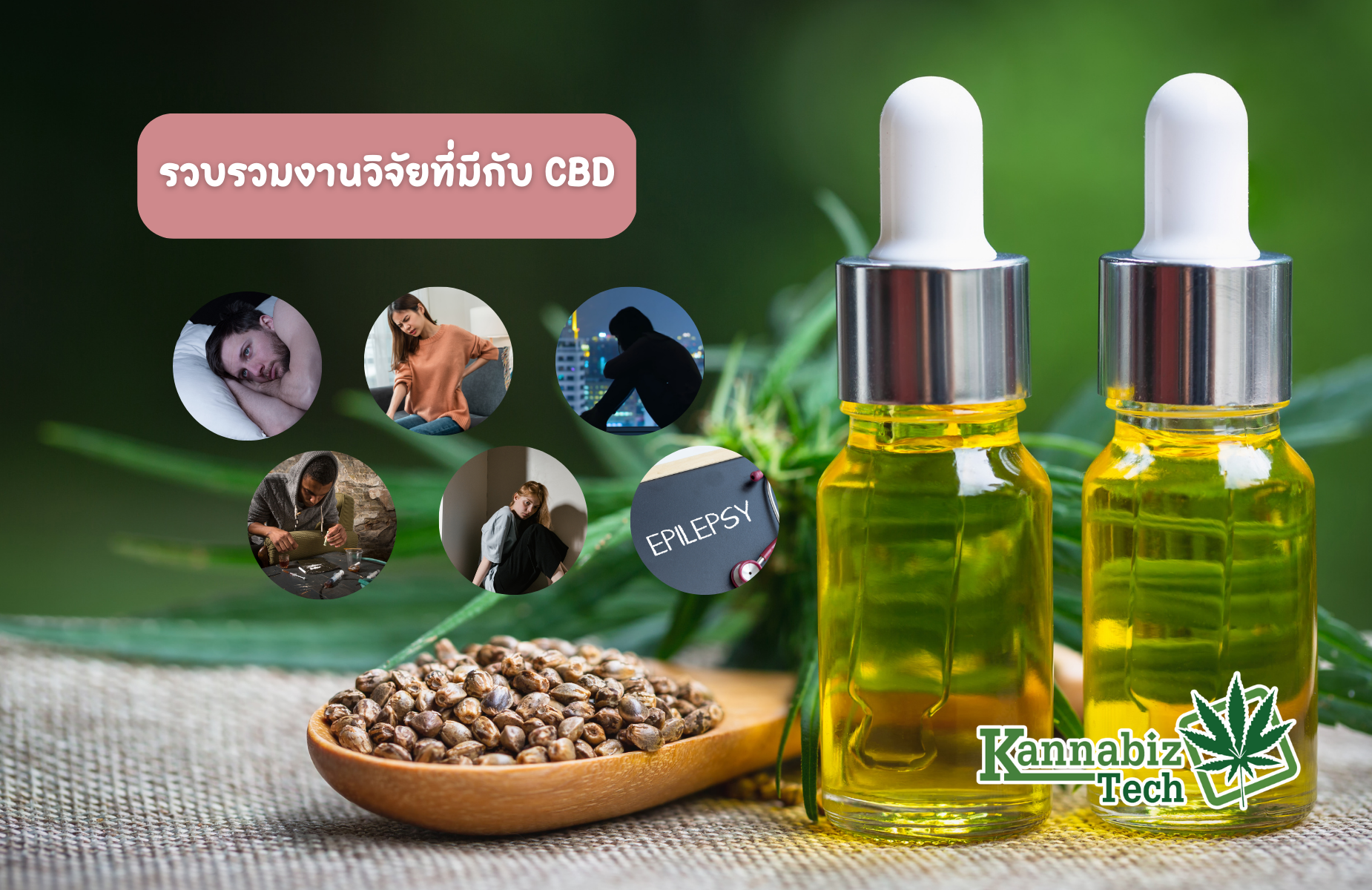 CBD Research Kannabiz Tech