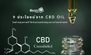 9 health profit from Cbd oil