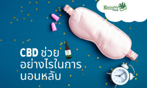CBD Help Sleep banner Kannabiz Tech2