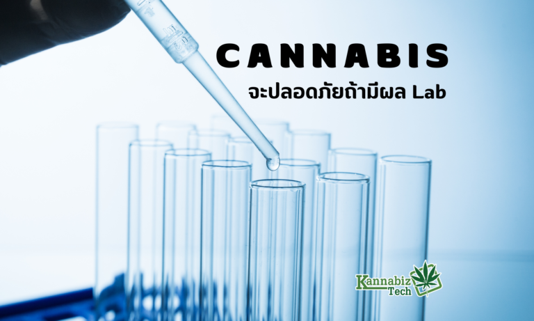 Cannabis จะปลอดภัยถ้าใส่ใจใน Lab