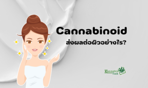 How Cannabinoids effect to skin