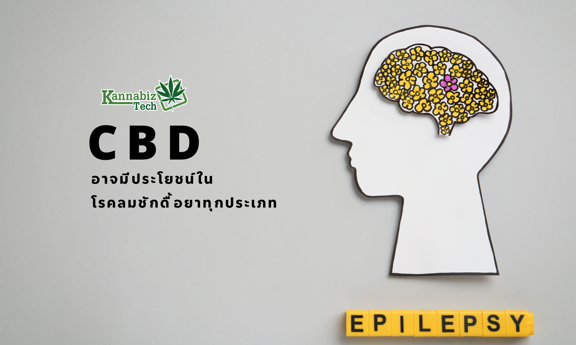 CBD & Epilepsy