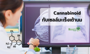 Cannabinoid kill cancer