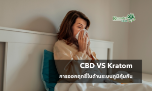 CBD VS Kratom for immunity