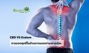 CBD VS Kratom pain