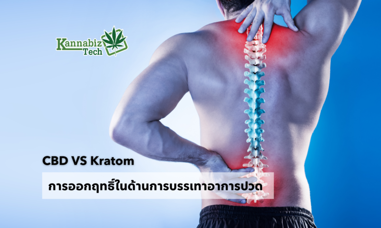 CBD VS Kratom pain