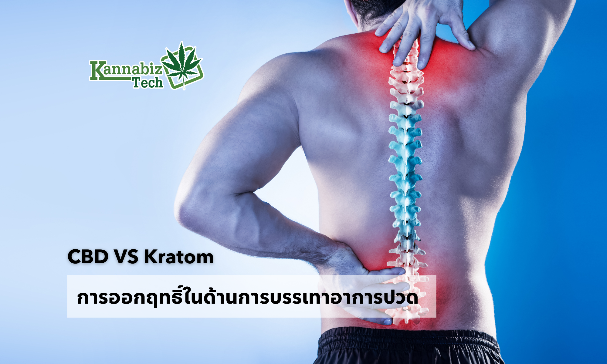 CBD VS Kratom pain