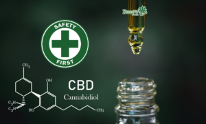 Cannabinoid Web