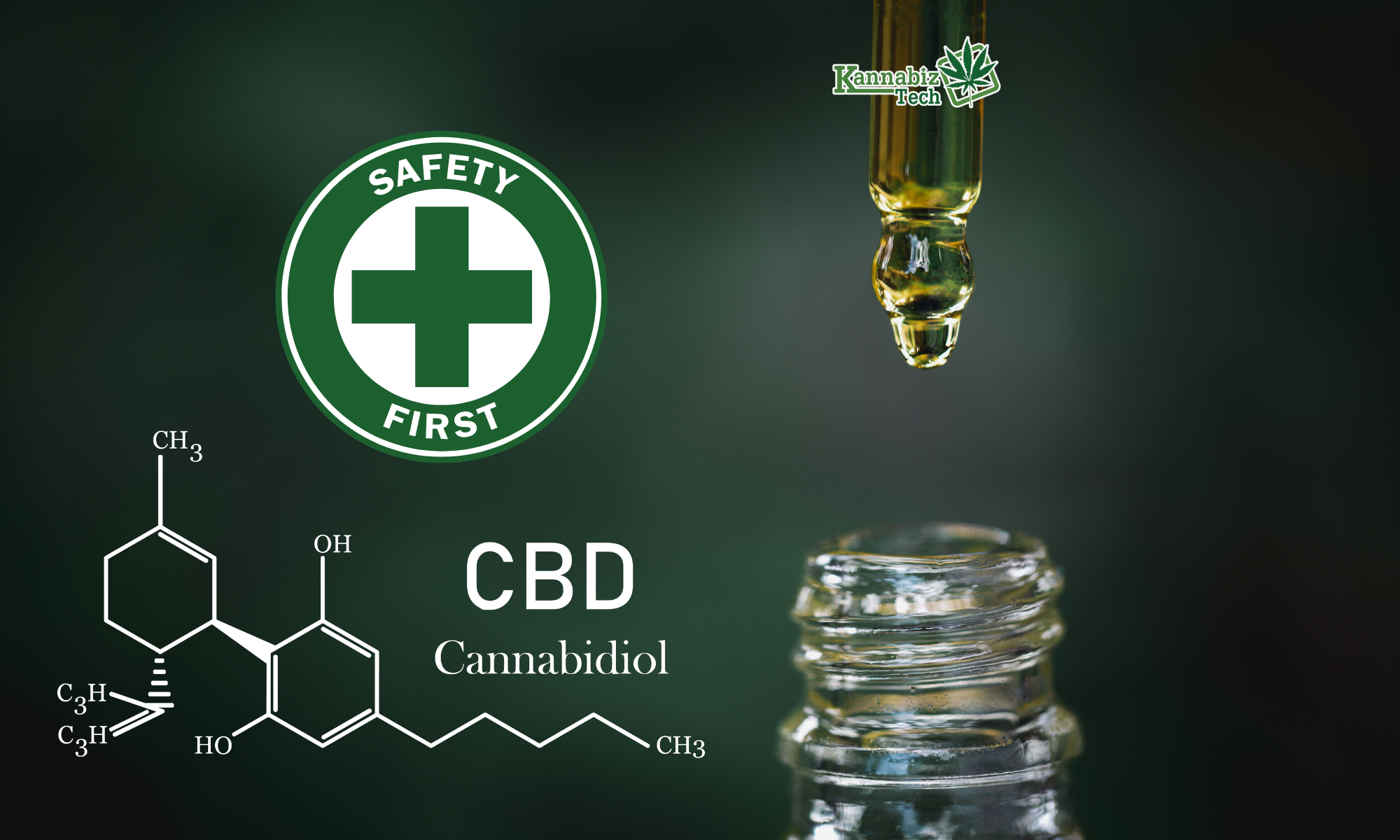 Cannabinoid Web