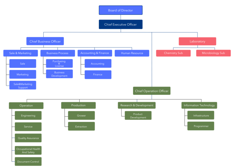 KT Company Structure