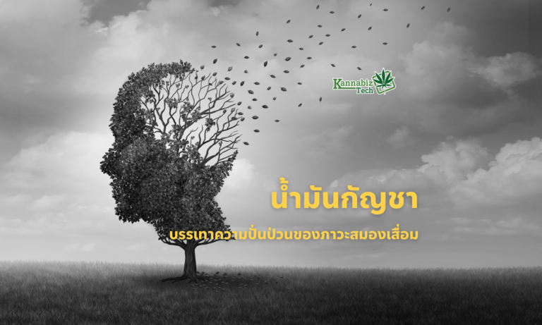 CBD and brain